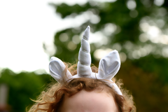 Pegasus Parade Headband